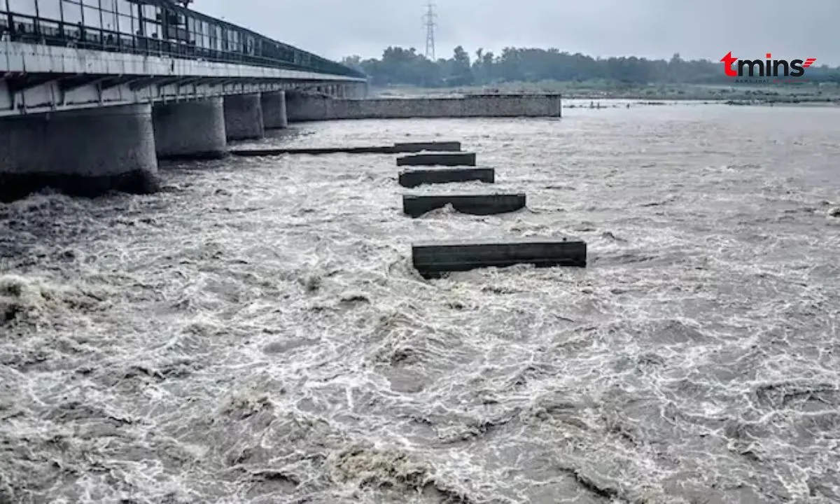 Yamuna Water Level Rise: Mangraol Bridge Under Water